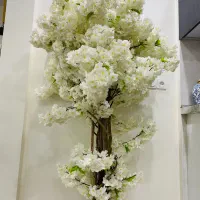 درخت گل شکوفه خارجی