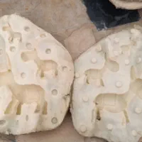 قالب های سیلیکونی زیبا و متنوع|صنایع دستی و سایر لوازم تزئینی|شاندیز, |دیوار