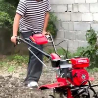 خدمات باغبانی