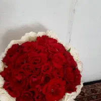 مدارک گمشده