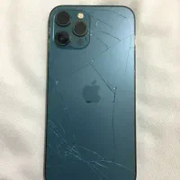 12 پرومکس