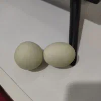 سنگ طبیعی گوهر