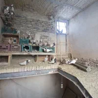 کفتر|پرنده|زاغه, |دیوار