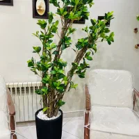 درختچه دست ساز