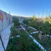 فروش باغ نقلی منطقه باسمنج هروی تبریز