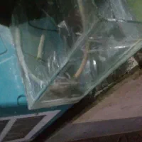 اکواریوم|ماهی|شیروان (خراسان), |دیوار