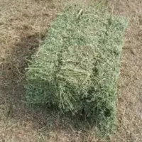 فروش‌یونجه درجه یک