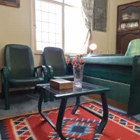 ست کامل مدیریت و مبل انتظار سبز رنگ متفاوت و زیبا