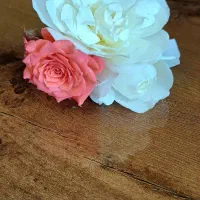 خانم صندوقدار