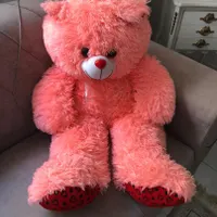 عروسک خرس شاسخین