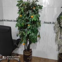 درختچه مصنوعی بزرگ وسالم|گل مصنوعی|دزفول, |دیوار