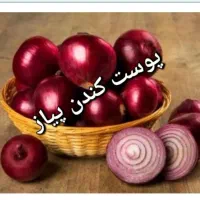 پوست کندن پیاز
