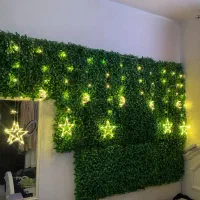 چمن تزئینی دیواری