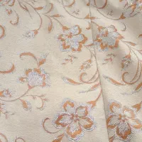 12 عدد روبالشتی