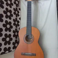 گیتار نو