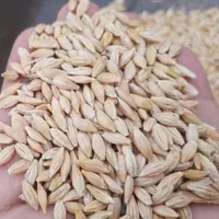 نیاز به سرمایه دار شراکت