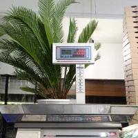 ترازو محک ۷۰کیلو