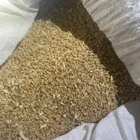 بذر فروشی دره شهر