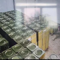 برق کار ( برق قدرت ) و تاسیساتی