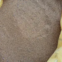 بذر یونجه