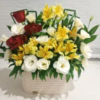باکس گل زیبا.  طبیعی