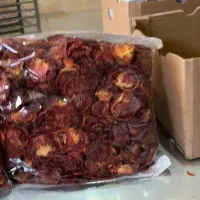 کارگر خانم برای کار در میوه خشک کنی