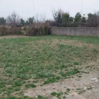 زمین مسکونی ، رادیو دریا