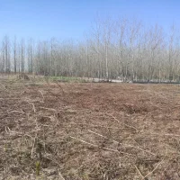 زمین-لنگرود-نسخ-مالکیت-سه-هزار-متر