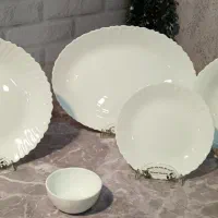 ظروف غذاخوری فله