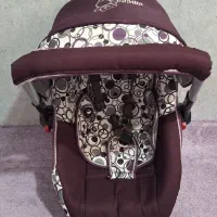 کریر دلیجان