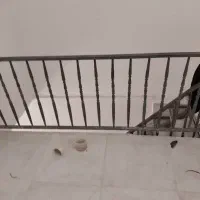 نقاش ساختمان نیازمندیم