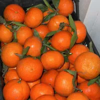 کارگر میوه فروشی