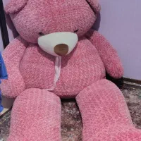 خرس تدی سه متری