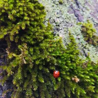 همبازی و سرگرمی