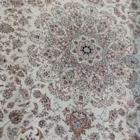 فرش شونهر آلمان|فرش|مشهد, رضاشهر|دیوار