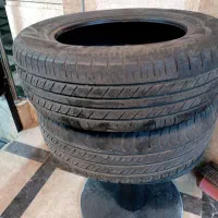 لاستیک سمند