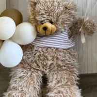 خرس تمیز سالم