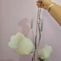 لوستر شیک|لوستر و چراغ آویز|تبریز, |دیوار