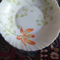 بشقاب ارکوپال