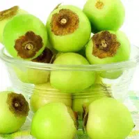 پوهیل تازه