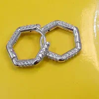 انواع گوشواره حلقه ای، گوشواره آویز و گل گوش نقره|جواهرات|اصفهان, چرخاب|دیوار
