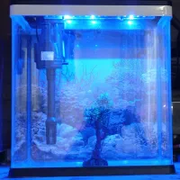 آکواریوم|ماهی|زابل, |دیوار