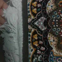 پادری گردویی|پادری|تهران, هوانیروز|دیوار