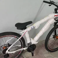 دوچرخه اورلورد