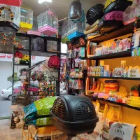 لوازم گربه ، لوازم پرنده ، لوازم سگ پت شاپ غذا خشک