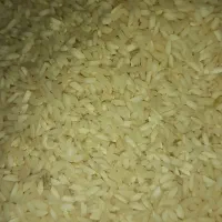 برنج چمپاسرله