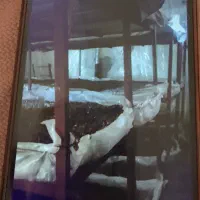 ۶ عدد قفسه آهنی ۳ طبقه
