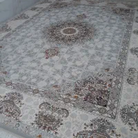 فرش طوسی برجسته|فرش|شیروان (خراسان), |دیوار