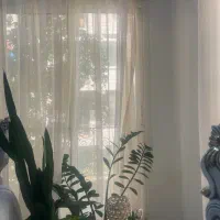استخدام نظافتچی جوان خانم