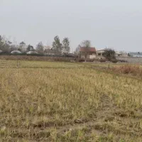 زمین مسکونی